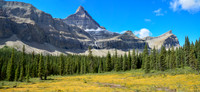 A meadow beside Cataract Creek