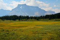 Mount Amery from the meadows below Sunset Pass