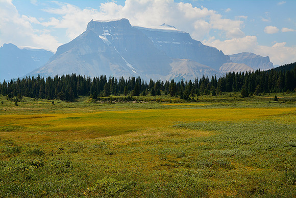 Mount Amery from the meadows below Sunset Pass