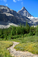 A meadow beside Cataract Creek