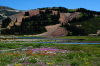 Helm Creek and the Cinder Cone