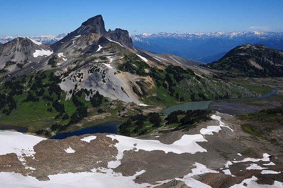 The Black Tusk from Panorama Ridge