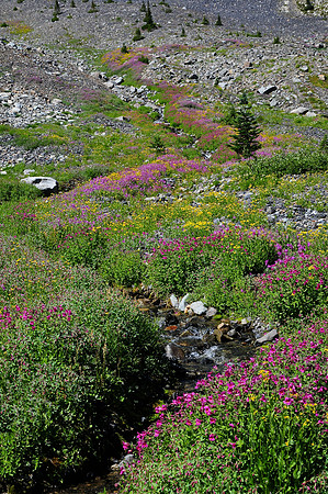 A tributary of Helm Creek