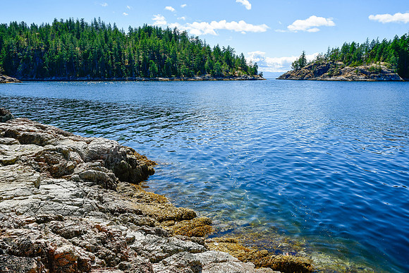 The Copeland Islands