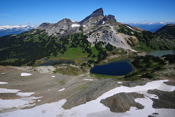 The Black Tusk from Panorama Ridge