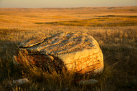 Bison rubbing stone