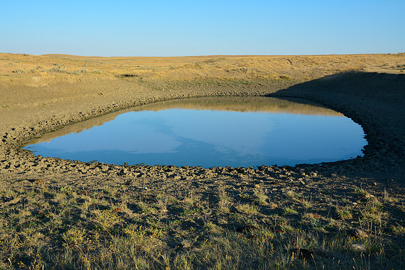 Bison water hole