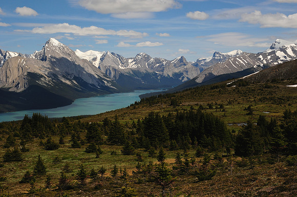 Maligne Lake from the Bald Hills