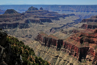 Bright Angel Canyon and the Transept  from the Transept Trail, North Rim