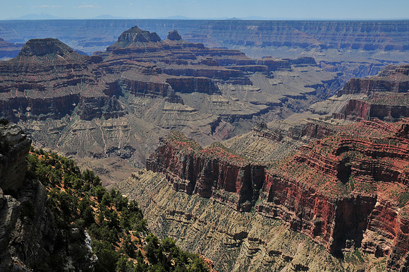 Bright Angel Canyon and the Transept  from the Transept Trail, North Rim