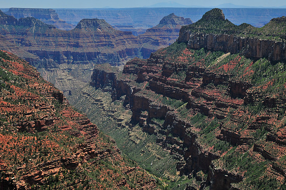 The Transept from Widforss Trail, North Rim