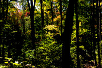 Centennial Ridges Trail