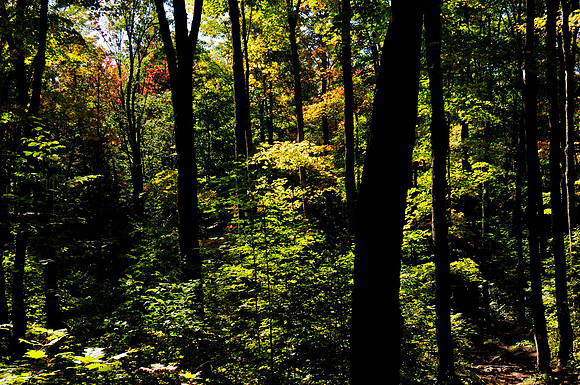 Centennial Ridges Trail
