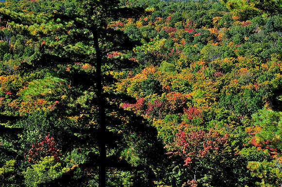 Centennial Ridges Trail