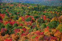 Centennial Ridges Trail