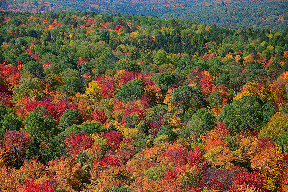 Centennial Ridges Trail
