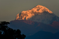 Sunrise on Dhaulagiri from the ridge south of Phewa Lake