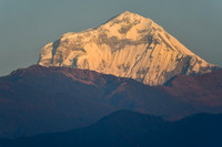 Sunrise on Dhaulagiri from the ridge south of Phewa Lake