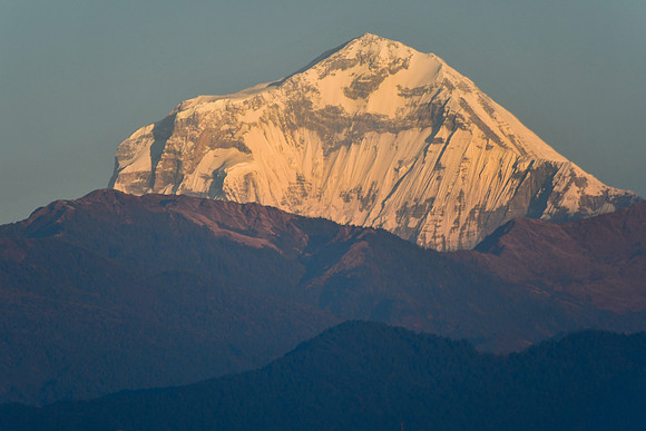 Sunrise on Dhaulagiri from the ridge south of Phewa Lake
