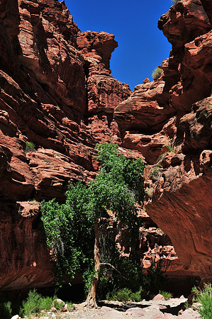 Hualapai Canyon, on the way to Havasu Falls
