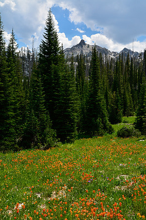 Browns Peak from the meadows beside Johnson Creek, Sawtooth Wilderness