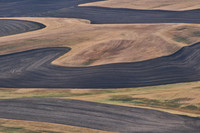 The Palouse from Steptoe Butte State Park
