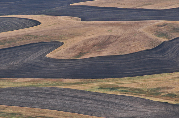 The Palouse from Steptoe Butte State Park