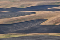 The Palouse from Steptoe Butte State Park