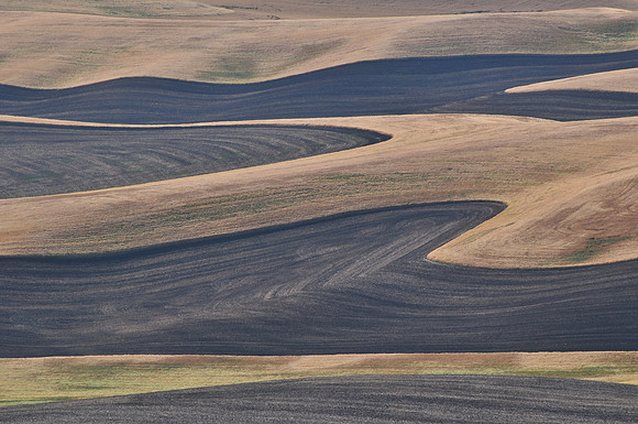 The Palouse from Steptoe Butte State Park