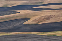 The Palouse from Steptoe Butte State Park