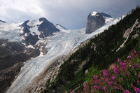 The Bugaboo Glacier