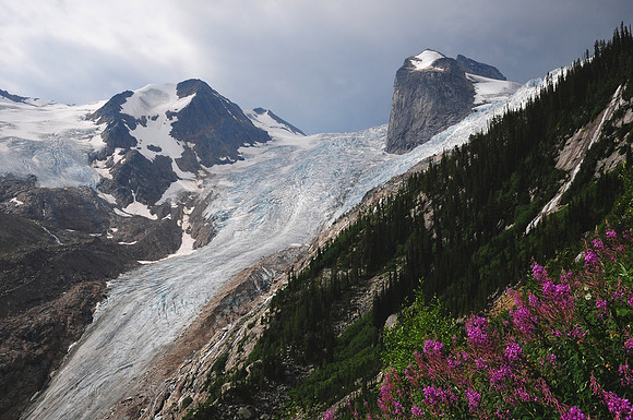 The Bugaboo Glacier