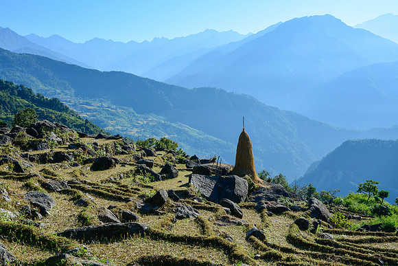 Harvested rice paddies below Seduwa