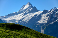The Schrekhorn from the north