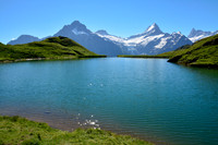 The Wetterhorn and the Schrekhorn from Bachalpsee
