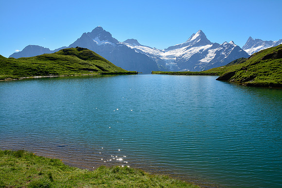 The Wetterhorn and the Schrekhorn from Bachalpsee