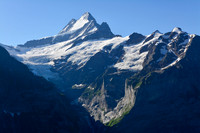 The Schrekhorn from the north