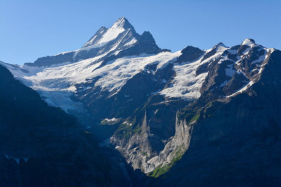 The Schrekhorn from the north