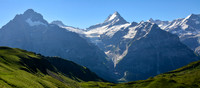 The Wetterhorn and the Schrekhorn from the north
