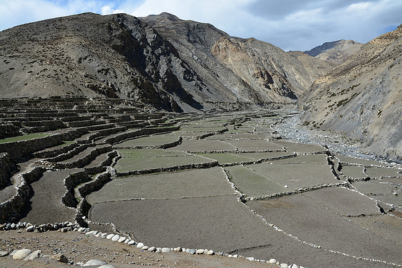Terraced fields beside Chharka