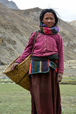 A girl collecting yak dung near Tinje