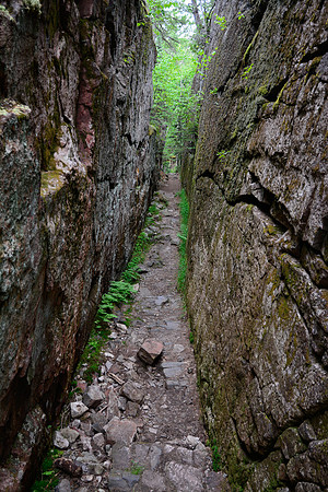 The trail to the Agawa Rock Pictographs, Lake Superior Provincial Park