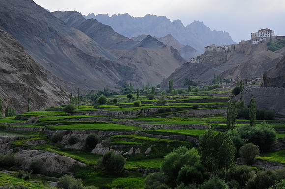 Lamayuru, Lamayuru to Tso Moriri Trek
