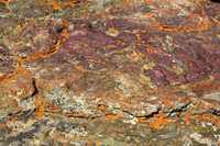 Rock and lichen, Lamayuru to Tso Moriri Trek