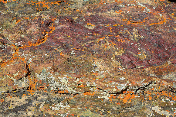Rock and lichen, Lamayuru to Tso Moriri Trek