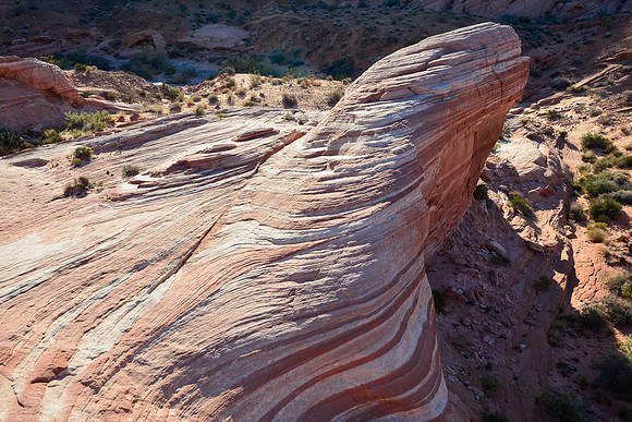The Fire Wave, Valley of Fire State Park