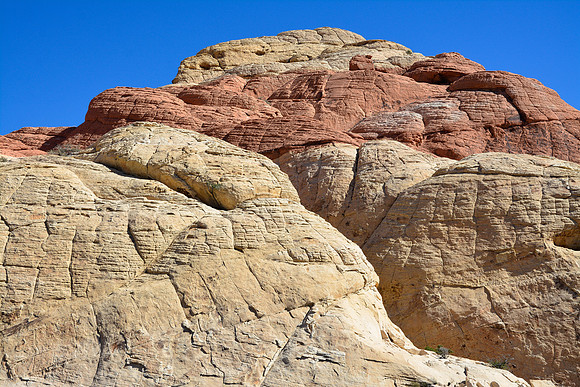Along the Calico Hills Trail, Red Rock Canyon National Conservation Area