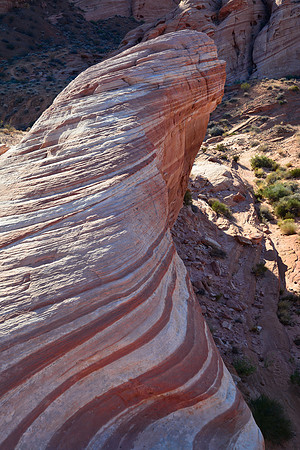 The Fire Wave, Valley of Fire State Park