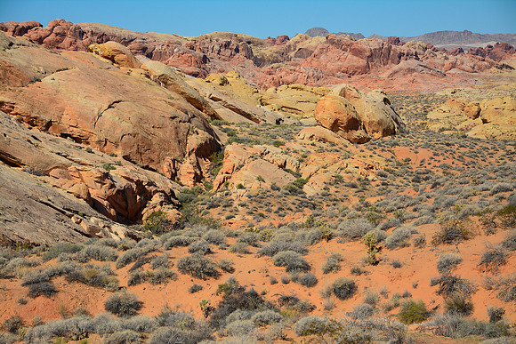 View from the wash below Rainbow Vista, Valley of Fire State Park