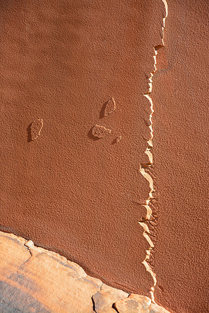 Rock, Calico Hills Trail, Red Rock Canyon National Conservation Area